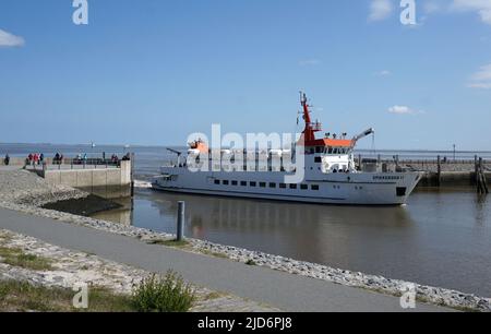 Neuharlingersiel, Germania - Giugno 9 2020 - un traghetto chiamato Spiekeroog II sul Mare di Wadden sta entrando nel porto di Neuharlingersiel nella Frisia orientale, GE Foto Stock