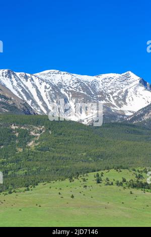 Montare haggin in anaconda intervallo vicino anaconda, montana Foto Stock