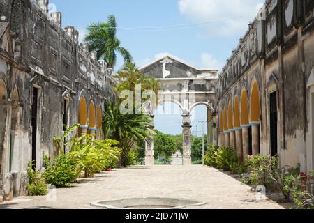 Haciendas de Mexico. Yaxcopoil Hacienda, luogo dei pioppi verdi Foto Stock