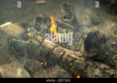 Legna bruciata nel fuoco. Fiamme di fuoco. Si incorpora nelle ceneri. Ceneri da legna da ardere. Foto Stock