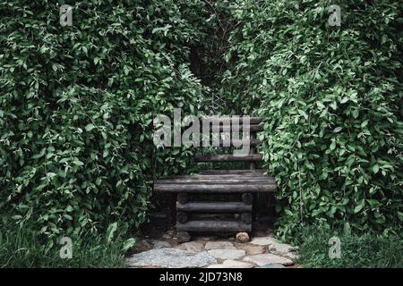 Vintage panca giardino in legno nel verde denso fogliame di arbusti. Foto Stock