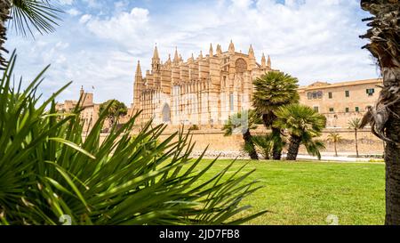 Vista laterale della maestosa cattedrale in stile gotico di Santa Maria di Palma di Maiorca conosciuta come la Seu de Mallorca all'esterno illuminata dalla luce del sole di giorno. Foto Stock