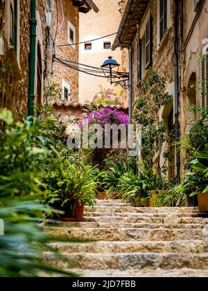 Ritratto di uno stretto vicolo rustico con scale salite fiancheggiata da tipiche case in pietra mediterranea, fiori viola e piante in vaso in Fornalutx. Foto Stock