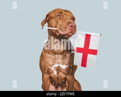 Lovable, cane grazioso e bandiera dell'Inghilterra Foto Stock