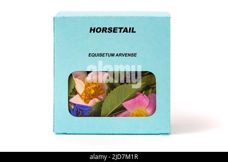 Horsetail erbe medicinali in una scatola di cartone. Tè alle erbe in una confezione regalo Foto Stock