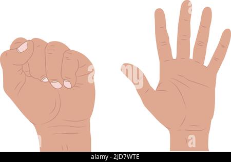 Prolunga per pollice. Sequenza manuale da pugno ad apertura in due disegni. Su sfondo bianco Illustrazione Vettoriale