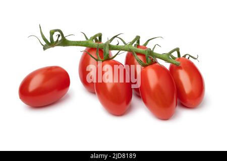 Fresco Rosso desiderio, mini pomodori prugna su un ramoscello isolato su sfondo bianco Foto Stock