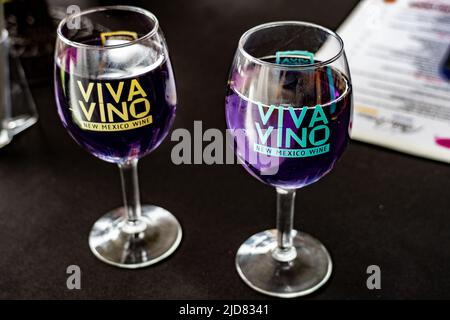 2022 New Mexico Wine Festival al Balloon Fiesta Park Foto Stock