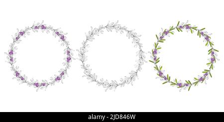 Wreath disegno a mano telaio rotondo rametti Rosemary. Set di corone floreali con foglie, rami. Elementi decorativi per design. Profilo doppio. Illustrazione vettoriale Illustrazione Vettoriale