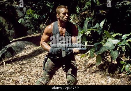 ARNOLD SCHWARZENEGGER, PREDATOR, 1987, Foto Stock