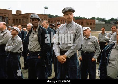 FREEMAN,ROBBINS, il Shawshank Redemption, 1994 Foto Stock