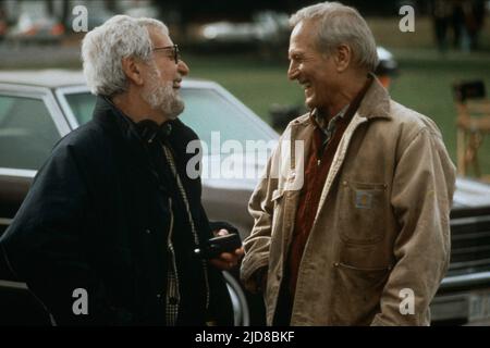 BENTON, NEWMAN, NESSUNO È PAZZO, 1994 Foto Stock