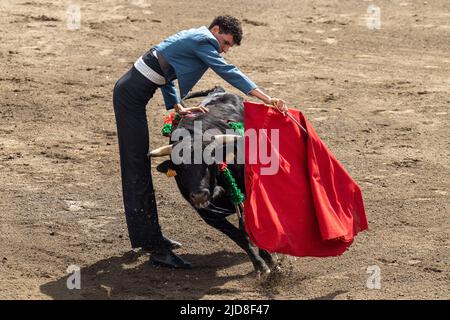 Un giovane matador durante una corrida per gli studenti per celebrare il festival Sanjoaninas alla Praca de Toiros Ilha Terceira, 18 giugno 2022 ad Angra do Heroísmo, isola di Terceira, Azzorre, Portogallo. La tradizionale corrida in stile portoghese è una corrida senza uccisioni eseguita solo per mostrare le abilità del matador. Foto Stock