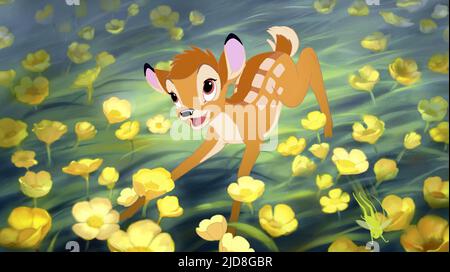 BAMBI, BAMBI II, 2006, Foto Stock