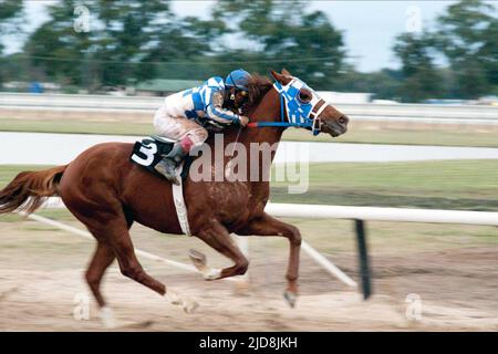 OTTO THORWARTH, SEGRETERIA, 2010, Foto Stock