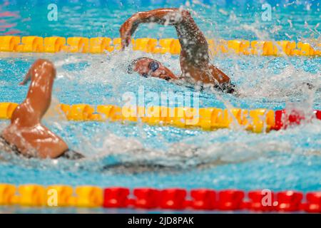 BUDAPEST, UNGHERIA - GIUGNO 19: Simona Quadarella d'Italia in competizione al Freestyle 1500m delle Donne durante i campionati mondiali di acquatica FINA alla Duna Arena il 19 Giugno 2022 a Budapest, Ungheria (Foto di Nikola Krstic/Orange Pictures) Foto Stock