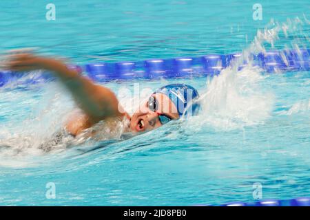 BUDAPEST, UNGHERIA - GIUGNO 19: Beatriz Dizotti del Brasile in competizione al Freestyle femminile 1500m durante il Campionato Mondiale d'Acquatica FINA alla Duna Arena il 19 Giugno 2022 a Budapest, Ungheria (Foto di Nikola Krstic/Orange Pictures) Foto Stock