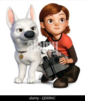 BULLONE, PERNO, BULLONE, 2008, Foto Stock