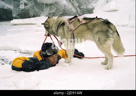 BRUCE GREENWOOD, OTTO SOTTO, 2006, Foto Stock