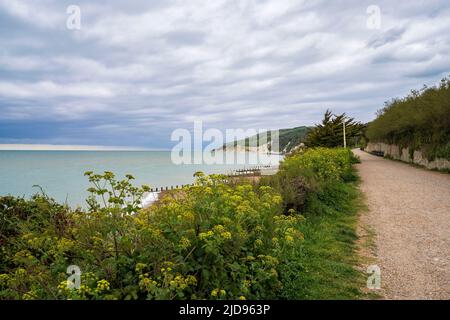 A pochi passi da Holywell Beach, Eastbourne, East Sussex, Inghilterra, Regno Unito Foto Stock