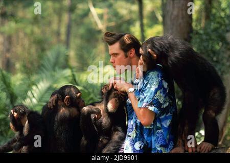 CARREY,SCIMPS, ACE VENTURA: QUANDO LA NATURA CHIAMA, 1995, Foto Stock