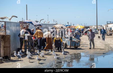 Mercato del pesce nel porto di Essaouira, Marocco Foto Stock