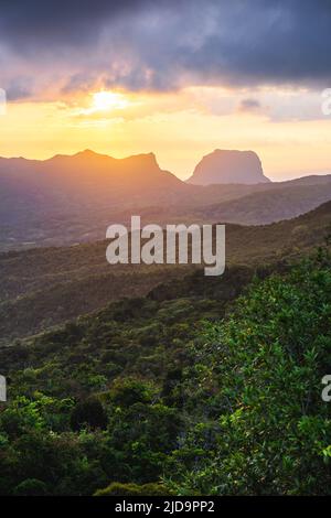 Il Black River Gorges National Park a Mauritius, Africa Foto Stock