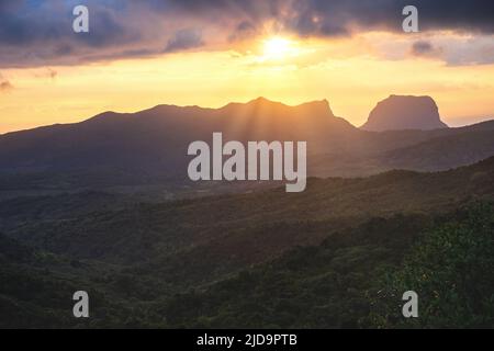 Il Black River Gorges National Park a Mauritius, Africa Foto Stock