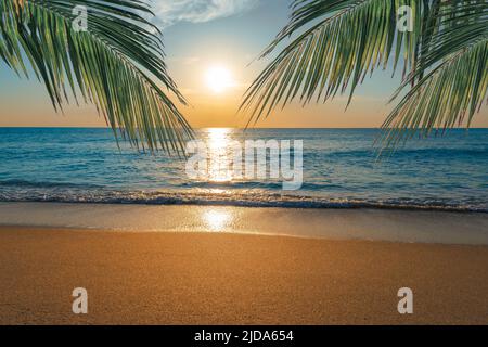 Tramonto sulla spiaggia tropicale di palme. Foto Stock