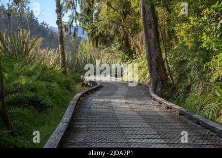 Passerella in legno che conduce attraverso la macchia della Nuova Zelanda intorno al Lago Matheson. Foto Stock