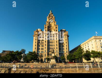 Vista del Royal Liver Building, Pier Head, Liverpool, Inghilterra, Regno Unito Foto Stock