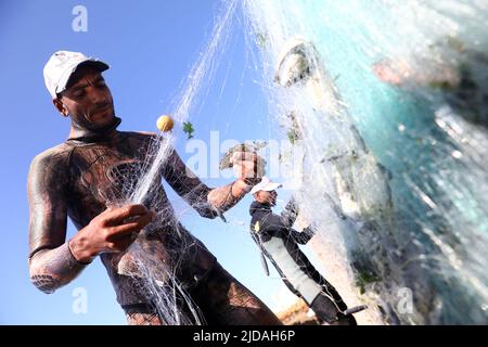 Alessandria, Egitto. 19th giugno 2022. Un pescatore prende il pesce da una rete dopo la pesca in mare al largo di Alessandria, Egitto, il 19 giugno 2022. Credit: Nantong/Nantong/Nantong Live News Foto Stock