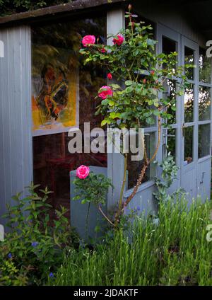 Antica residenza d'estate con rosa rosa rampicante Rosa 'Pink Perpetue' Foto Stock