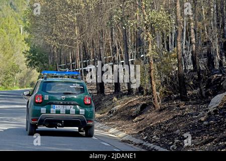 Olivella, Spagna. 19th giugno 2022. Un veicolo di agenti forestali controlla l'area bruciata di Olivella (Barcellona). I vigili del fuoco del governo della Catalogna hanno considerato che l'incendio che stava bruciando a Olivella (Barcellona) fosse stabilizzato, e stanno lavorando per controllarlo questa domenica. (Foto di Ramon Costa/SOPA Images/Sipa USA) Credit: Sipa USA/Alamy Live News Foto Stock