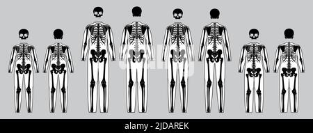 Set di Skeleton costume ossa umane per tutta la famiglia fronte retro vista uomini donne bambini - ragazzo, ragazza per Halloween, festival, stampa su abiti nero piatto concetto di colore Vector illustrazione isolato Illustrazione Vettoriale