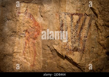 Disegnando il nuovo antropomorfo e uno dei trapezi nella parte sinistra della composizione cavalli e segni sulla parete sud-ovest della sala del caos. Nota... Foto Stock