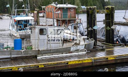 Barche da pesca nel porto di Bambfield sulla costa occidentale dell'isola di Vancouver; Bambfield, British Columbia, Canada Foto Stock