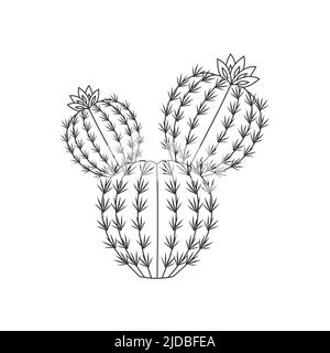 Delineare l'illustrazione del vettore di cactus e pianta succulenta Illustrazione Vettoriale