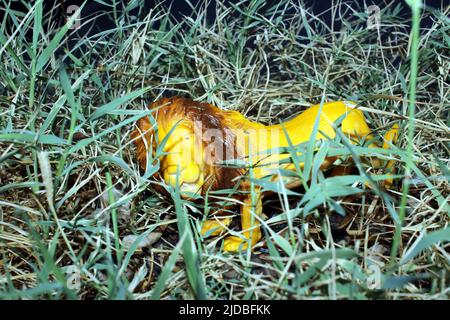 Giocattolo di plastica gli animali della fattoria in una scuola materna in  Svezia Foto stock - Alamy