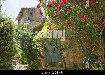 Francia, Ardèche, Saint-Montan, borgo medievale Foto Stock