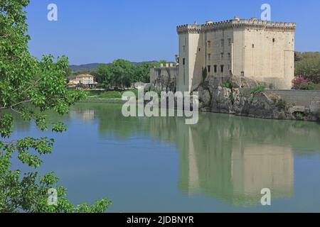 Francia, Bouches-du-Rhône Tarascon, il castello, la fortezza, il Rhône Foto Stock