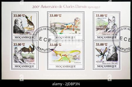 MOSCA, RUSSIA - 17 GIUGNO 2022: Francobollo stampato in Mozambico mostra blocco: Ritratto e animali, Charles Darwin, 200th Anniversary (2009) serie, Foto Stock