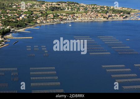 Francia, Hérault, Bouzigues, la città portuale mediterranea, situato sulle rive dell'Etang de Thau con i suoi parchi ha conchiglie, (foto aerea) Foto Stock