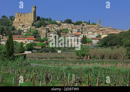 Francia, Vaucluse, Châteauneuf-du-Pape, villaggio vigneto AOC Cotes du Rhône Foto Stock