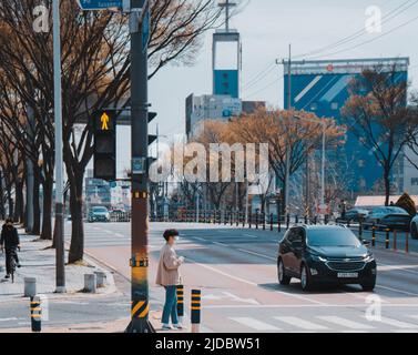 Viaggiare attraverso la Corea è stata di gran lunga la mia cosa preferita del 2022 Foto Stock