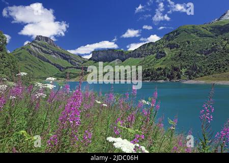 Francia, Savoy Beaufort-sur-Doron, sito del lago Roselend, Foto Stock