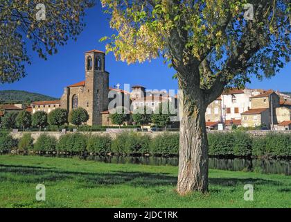 Francia, Haute-Loire (43) Langeac, vista del villaggio dal fiume Allier Foto Stock