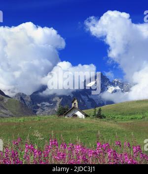 Francia, Hautes-Alpes col du Lautaret, piccola cappella di montagna, Epilobes Foto Stock