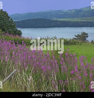 Francia, Ardèche Lac d'Issarlès, lago vulcanico di Ardèche e Vivarais Foto Stock