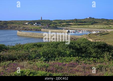 Francia, la Manche Fermanville, Capo Levi, il porto Foto Stock